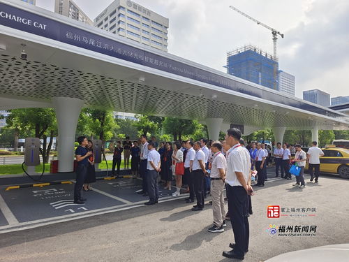 福州市政協(xié)開展新能源產(chǎn)業(yè)培育視察活動(dòng)，助力綠色經(jīng)濟(jì)發(fā)展